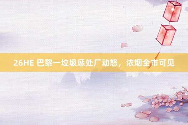 26HE 巴黎一垃圾惩处厂动怒，浓烟全市可见