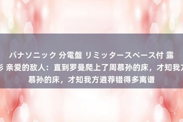 パナソニック 分電盤 リミッタースペース付 露出・半埋込両用形 亲爱的敌人：直到罗曼爬上了周慕孙的床，才知我方遴荐错得多离谱