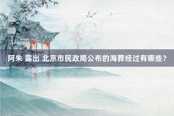 阿朱 露出 北京市民政局公布的海葬经过有哪些？