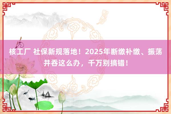 核工厂 社保新规落地！2025年断缴补缴、振荡并吞这么办，千万别搞错！
