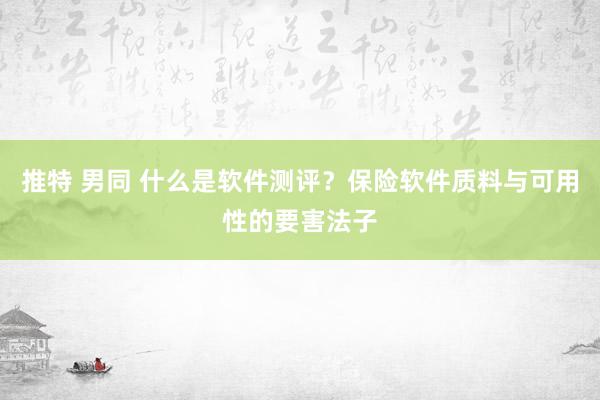 推特 男同 什么是软件测评？保险软件质料与可用性的要害法子