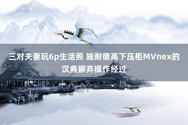 三对夫妻玩6p生活照 施耐德高下压柜MVnex的汉典摒弃操作经过