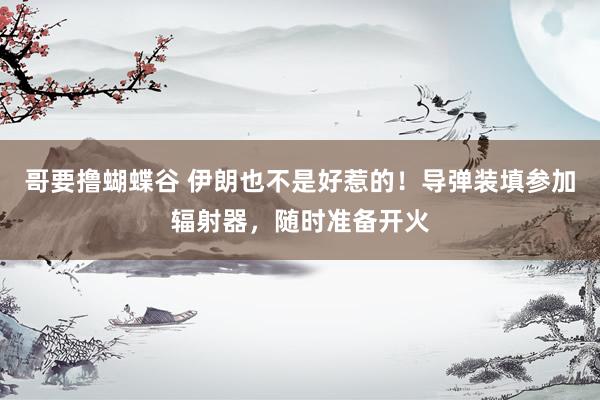 哥要撸蝴蝶谷 伊朗也不是好惹的！导弹装填参加辐射器，随时准备开火