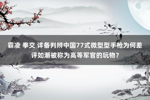 霸凌 拳交 详备判辨中国77式微型型手枪为何差评如潮被称为高等军官的玩物？