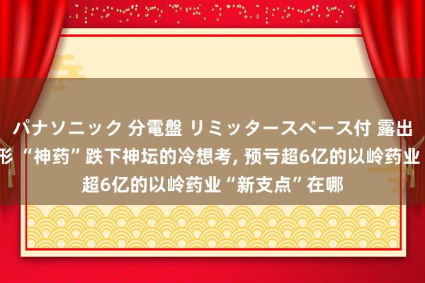 パナソニック 分電盤 リミッタースペース付 露出・半埋込両用形 “神药”跌下神坛的冷想考, 预亏超6亿的以岭药业“新支点”在哪