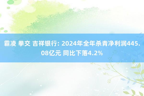 霸凌 拳交 吉祥银行: 2024年全年杀青净利润445.08亿元 同比下落4.2%