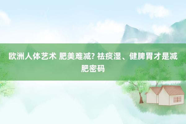 欧洲人体艺术 肥美难减? 祛痰湿、健脾胃才是减肥密码