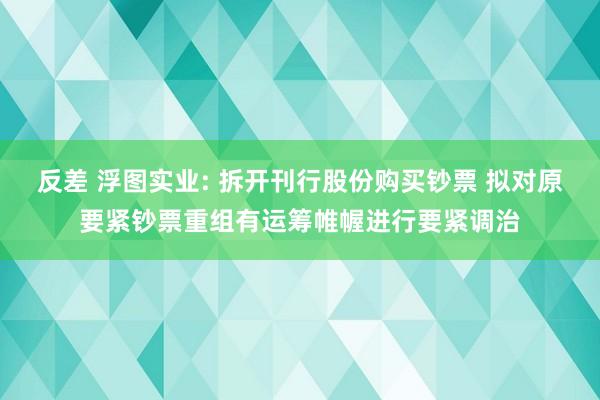 反差 浮图实业: 拆开刊行股份购买钞票 拟对原要紧钞票重组有运筹帷幄进行要紧调治