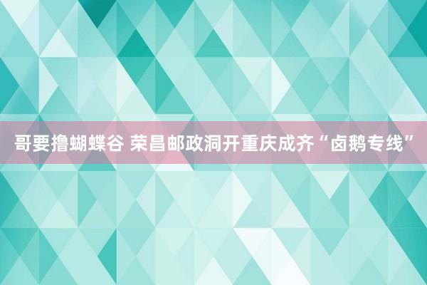 哥要撸蝴蝶谷 荣昌邮政洞开重庆成齐“卤鹅专线”