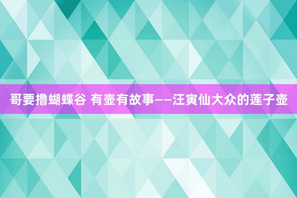哥要撸蝴蝶谷 有壶有故事——汪寅仙大众的莲子壶