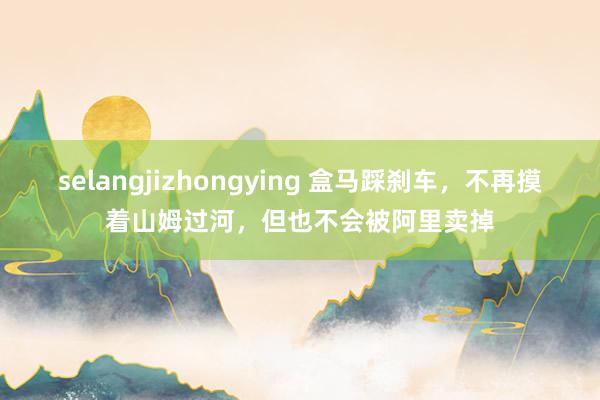 selangjizhongying 盒马踩刹车，不再摸着山姆过河，但也不会被阿里卖掉